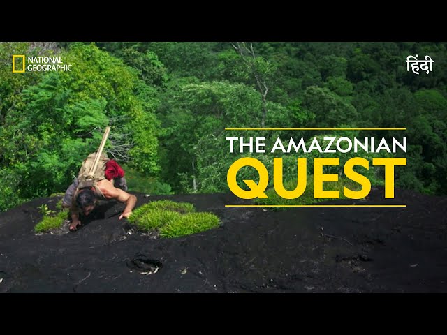 Amazon Jungle Documentary National Geographic Protecting The