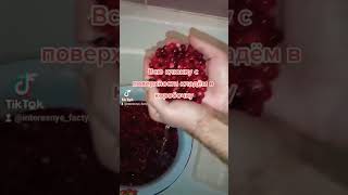 Лайфхак, как быстро перебрать клюкву🍒 (видео с моего аккаунта в ТТ )#рекомендации #лайфхаки #клюква