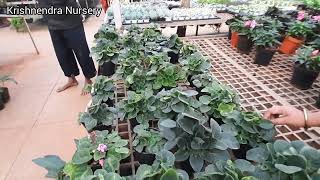 VLOG#18 - Trip to one of the biggest nursery in Bangalore | Krishnendra Nursery | #Nursery