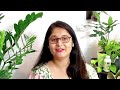 how when to use neem oil for plants नीम आयल mealybugs aphids leafminer neemoil plants gardening