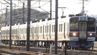 JR東海　211系 LL17編成+GG9編成　静岡鉄道　狐ヶ崎駅～桜橋駅