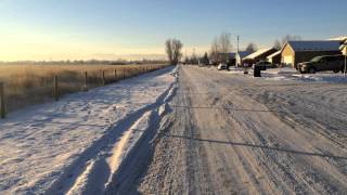 A Brisk Morning Walk In Montana