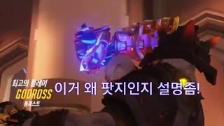 둠피 하루동안 일어나는 팟지 모음! [GODROSS]