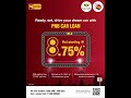 pnb car loan