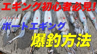 1人でこの釣果!必見!釣りたい人は、見るべし！刻々と変わる条件のもと攻略‼