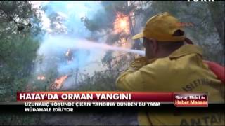 Hatay'da orman yangını