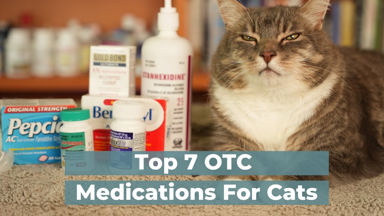 7 Otc Human Medications Safe And Effective For Cats Housepetscare