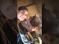 do you like this girl s video sorts love