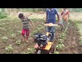 shrachi 100 power weeder in cotton filed