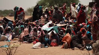 US declaring genocide in Darfur seen as 'victory' in Sudan