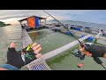 Ultralight Jigging Kelong Ali Pulau Aman! ( STRIKE IKAN RARE )