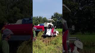 J Automatic New Combine Harvester, mesin baru, kerja perdana di sawah Kang Sutris.