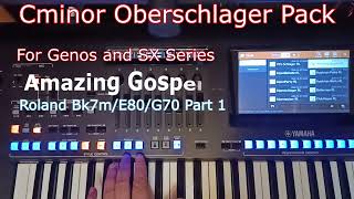 Cminor Oberschlager Pack for Yamaha Genos 1/2 and SX Series, Roland BK7m/E80/G70 Styles Part 1