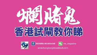 《爛賭鬼 香港試閘教你睇》(香港賽馬) - 快活谷 2020-09-26