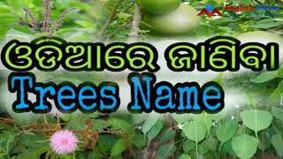 Tree names in Odia || easy learning English || Vocabulary Development