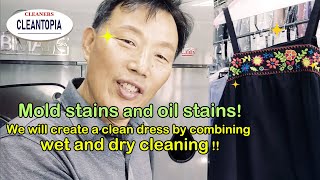 Cleantopia Story - Mold stains and oil stains!