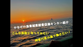 30秒でかながわ漁業就業促進センターの事がわかる！　神奈川県で漁師をめざす人を大募集！　魚が好きな人