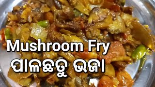 Mushroom Fry!! ପାଳଛତୁ କୁ ଥରେ  ଏହିପରି ବନାଇ ରୋଟି କିମ୍ବା ଭାତ ସହ ପରସନ୍ତୁ ଦେଖିବେ ସବୁ ମାଗି ମାଗି ଖାଇବେ!!!