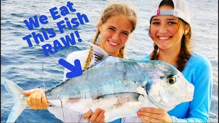 Offshore Fishing SW Florida | Multi Species SASHIMI Taste Test!