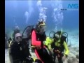 Channel 5 Cozumel Interview Jim Elliott (English)