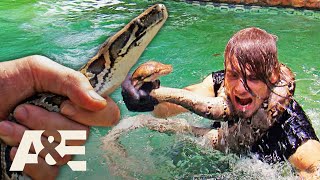 Top 3 PYTHON Captures | Billy the Exterminator | A&E