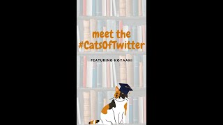 Cats Of Twitter #4 | Koyaani