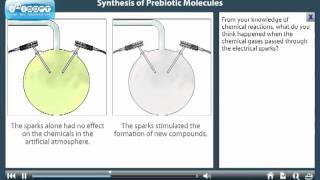 Prebiotic molecule synthesis-Education Use Only