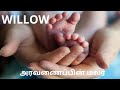 மலர் மருத்துவம் - WILLOW  26th  REMEDY - DR.BACH FLOWER REMEDY (3)