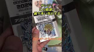 【ワンピースウエハース】1箱目ラスト！開封していくー