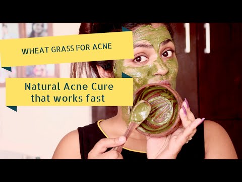 Wheatgrass Face Mask Hindi Mein |Wheatgrass Ki Faydee | Patanjali Wheat Grass Wheatgrass Face Mask Hindi Mein |Wheatgrass Ki Faydee | Patanjali Wheat Grass