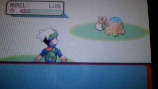 OMG SHINY POKEMON