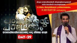 Palakante Padheyam-DAY-29| പാലകൻറെ പാഥേയം | Fr Roy Palatty CMI | ShalomTV