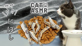 【猫のASMR】🐟🎵煮干しとカリカリの最強コンビを食べる