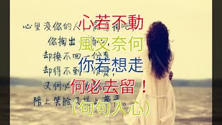 心若不動，風又奈何，你若想走，何必去留！（句句入心）