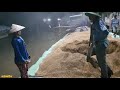 the fresh rice paddles in the oven three bowl