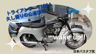 日本バスタブ党　今年は公道復帰します！　トライアンフタイガー100  TRIUMPH T100A