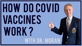 How Do COVID Vaccines Work?