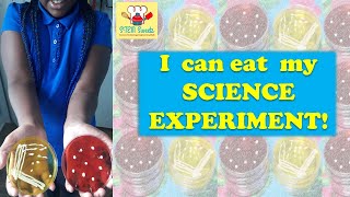 How to make an easy science dessert | How to make biology treats