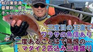 【秋の東京湾豪華刺し盛りチャレンジ】ワラサは二度あることは…ラスト1時間までサバのみもマダイ×2＆アジで挽回～三度目の正直で魚信あったが痛恨の～（2021.9.25 金沢八景・一之瀬丸 マダイワラサ)