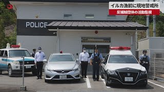 【速報】イルカ漁前に現地警戒所 反捕鯨団体の活動監視