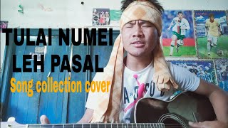 Tulai numei leh pasal || Kila choi to na ho || Song collection cover || Kuki popular song