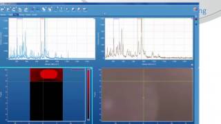 LabRAM HR Evolution: The Ultimate Instrument for Raman Spectroscopy