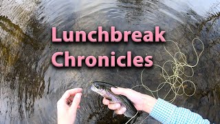 Lunchbreak Chronicles - Back for more small dry fly fishing.