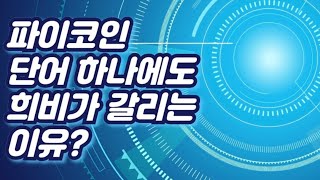 파이코인 단어 하나에도 희비가 갈리는 이유는?