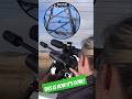 This is how it's done | Long-Range Airgun Hunting | FX Impact #fxairguns