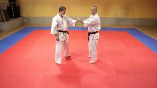 Karate Secrets - oyo Saifa/Saiha | Explaining kata moves | part 1