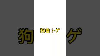 チートだと思う呪術廻戦のキャラ！