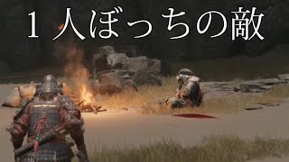 【妄想】浜辺にポツンといる敵と古騎士イシュトバーンって兄弟でしょ？【エルデンリング】