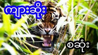 ကျားဆိုး - စဆုံး