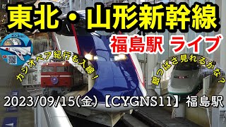 東北・山形新幹線／銀つばさ見れるかな？／カシオペア紀行も入線！≪お見送りライブ≫【CYGNS11】2023/09/15 福島駅